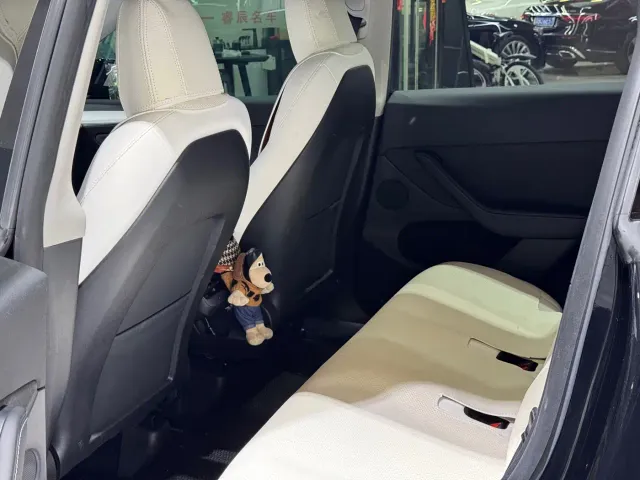 Tesla Model Y — Фото автомобиля 6