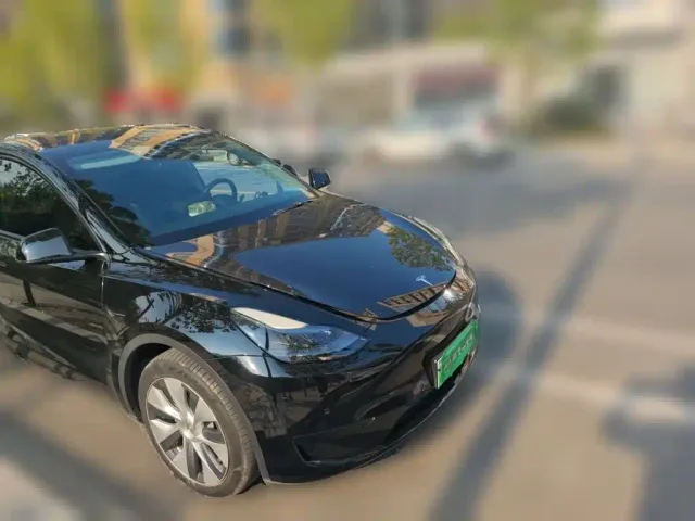 Tesla Model Y — Фото автомобиля 3