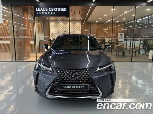 Lexus UX UX300h — Фото автомобиля 3