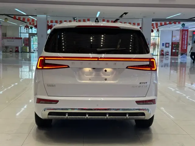 Hyundai Custo — Фото автомобиля 10