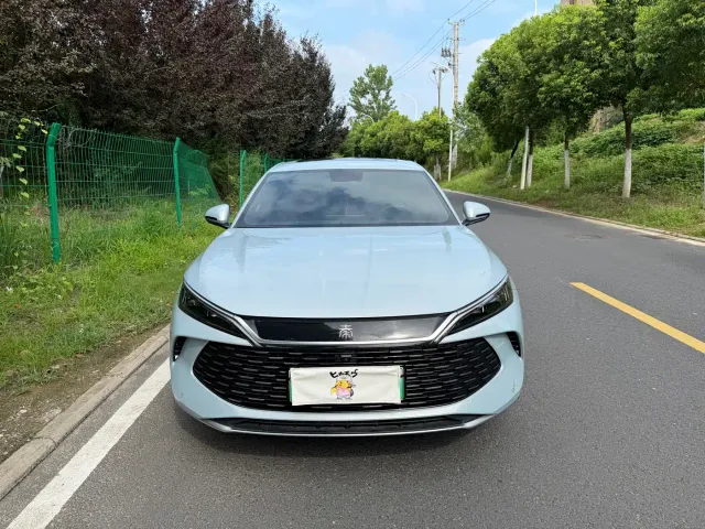 BYD Qin L — Фото автомобиля 2