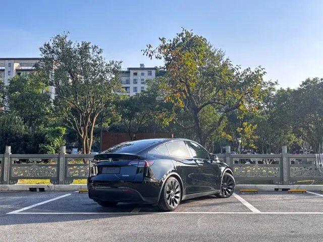 Tesla Model Y — Фото автомобиля 4
