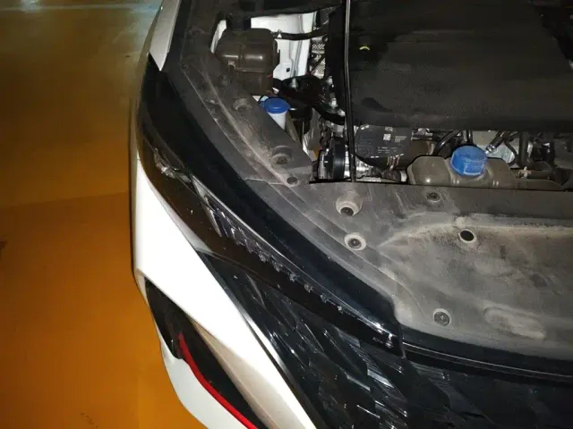 Changan Eado — Фото автомобиля 20