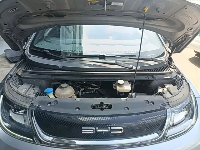 BYD Dolphin — Фото автомобиля 19