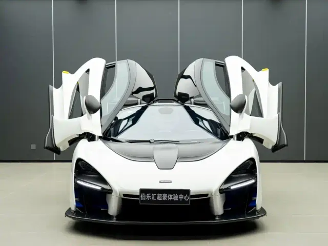 McLaren Senna — Фото автомобиля 8