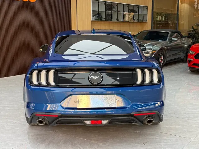 Ford Mustang — Фото автомобиля 27