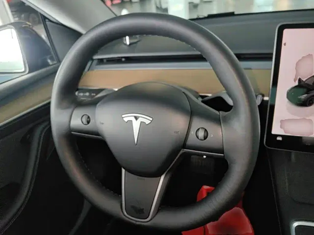 Tesla Model Y — Фото автомобиля 10