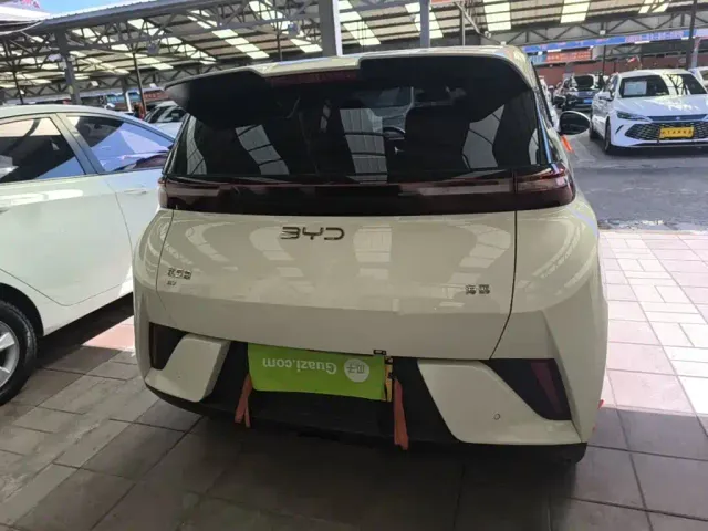 BYD Seagull — Фото автомобиля 5