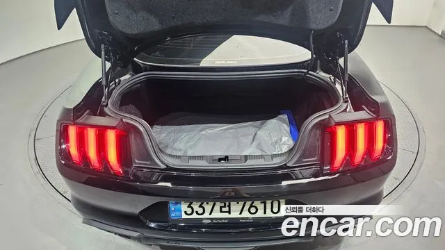 Ford Mustang Mustang GT Купе — Фото автомобиля 20