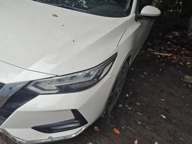 Nissan Sylphy — Фото автомобиля 5