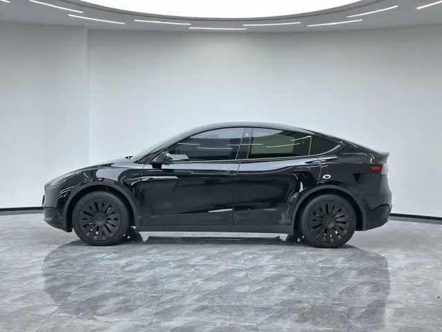 Tesla Model Y — Фото автомобиля 7