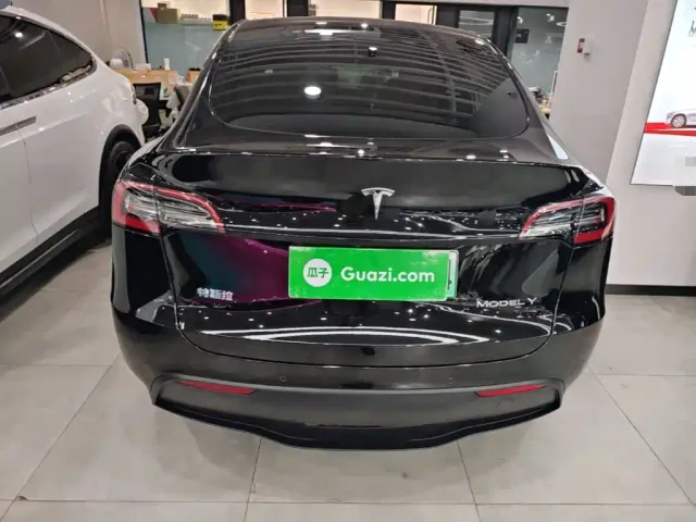 Tesla Model Y — Фото автомобиля 5