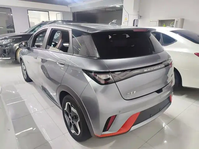 BYD Dolphin — Фото автомобиля 4