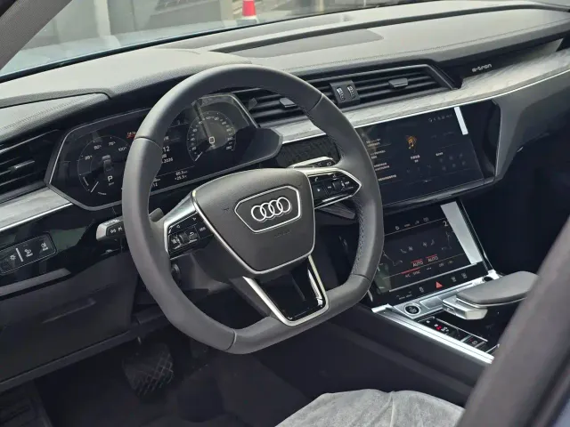 Audi e-tron — Фото автомобиля 20