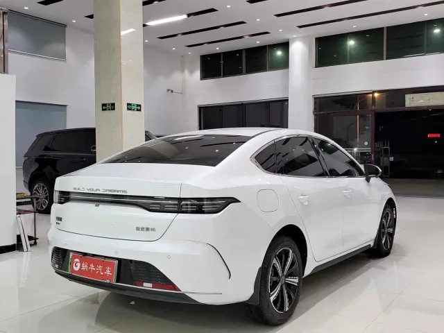 BYD Destroyer 05 — Фото автомобиля 11