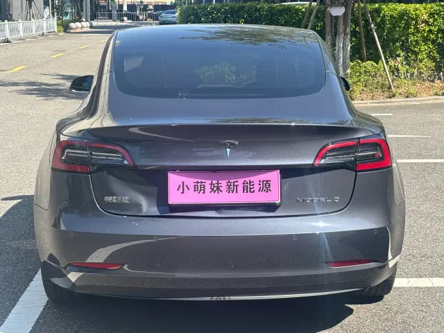 Tesla Model 3 — Фото автомобиля 21