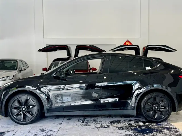 Tesla Model Y — Фото автомобиля 7
