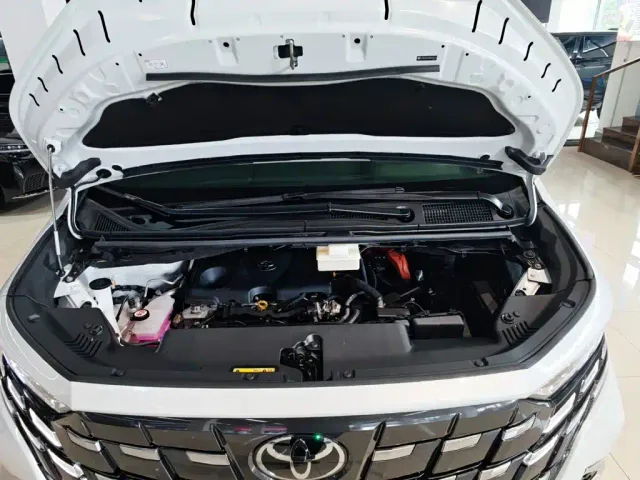 Toyota Alphard — Фото автомобиля 14