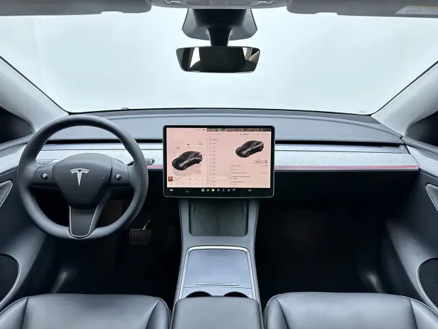 Tesla Model Y — Фото автомобиля 14