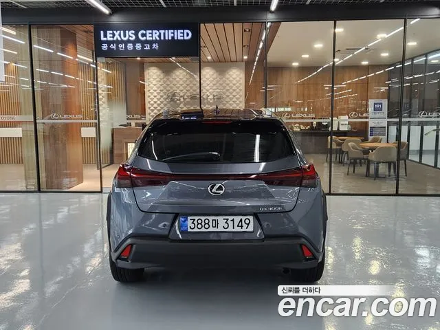 Lexus UX UX300h — Фото автомобиля 4
