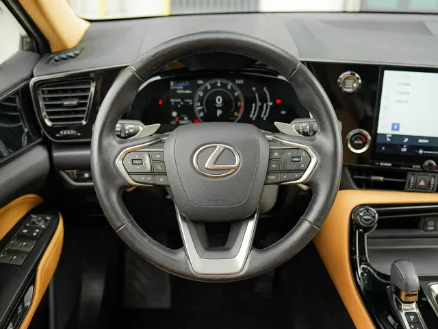 Lexus NX — Фото автомобиля 19
