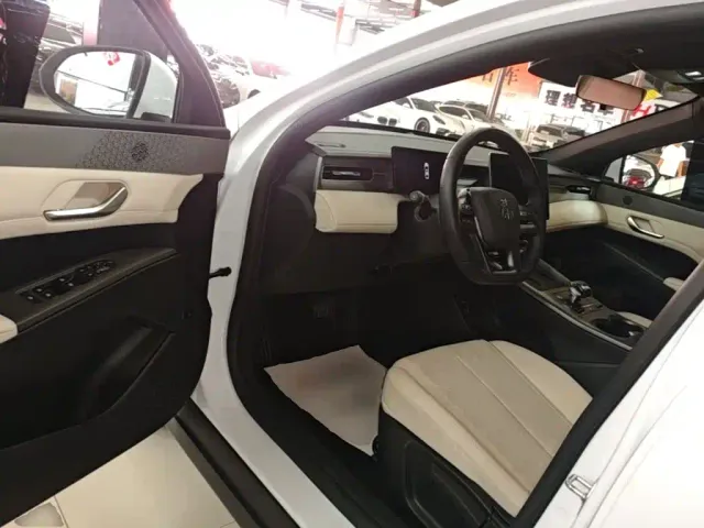BYD Qin PLUS — Фото автомобиля 15