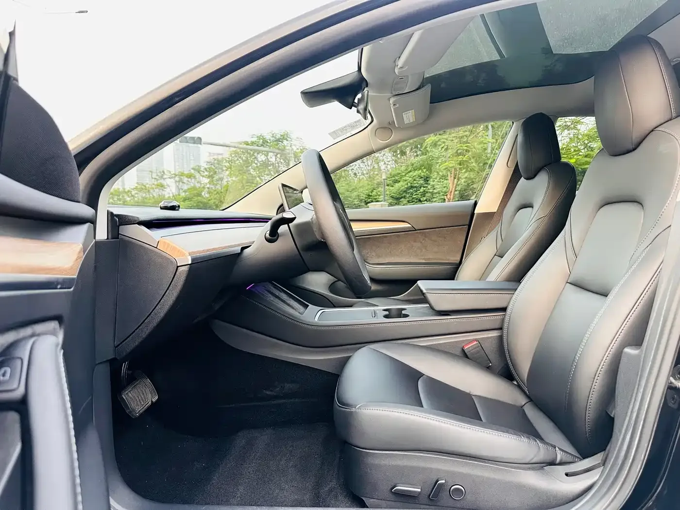 Tesla Model 3 2021 Facelift Standard Range RWD Upgrade 3D1 — Фото автомобиля 9