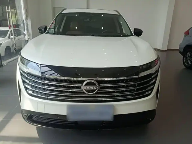 Nissan Terra — Фото автомобиля 2