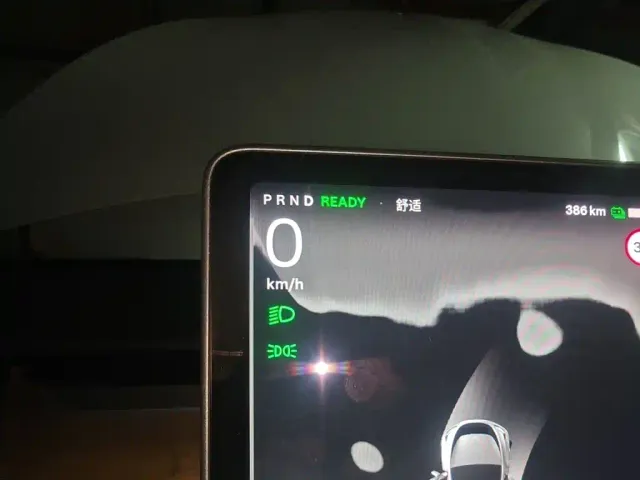 Tesla Model Y — Фото автомобиля 3