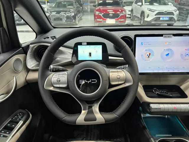 BYD Dolphin — Фото автомобиля 9