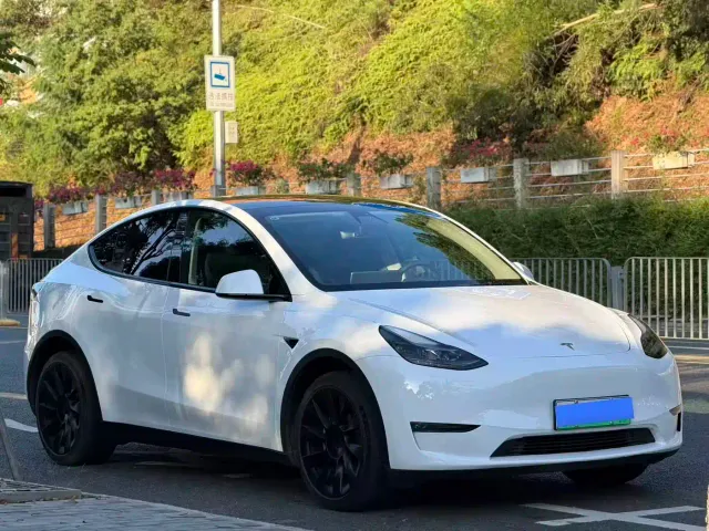 Tesla Model Y — Фото автомобиля 6