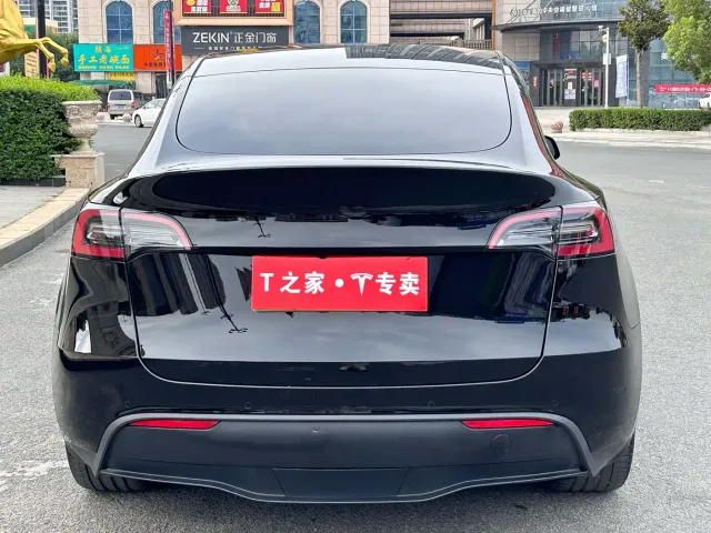 Tesla Model Y — Фото автомобиля 10