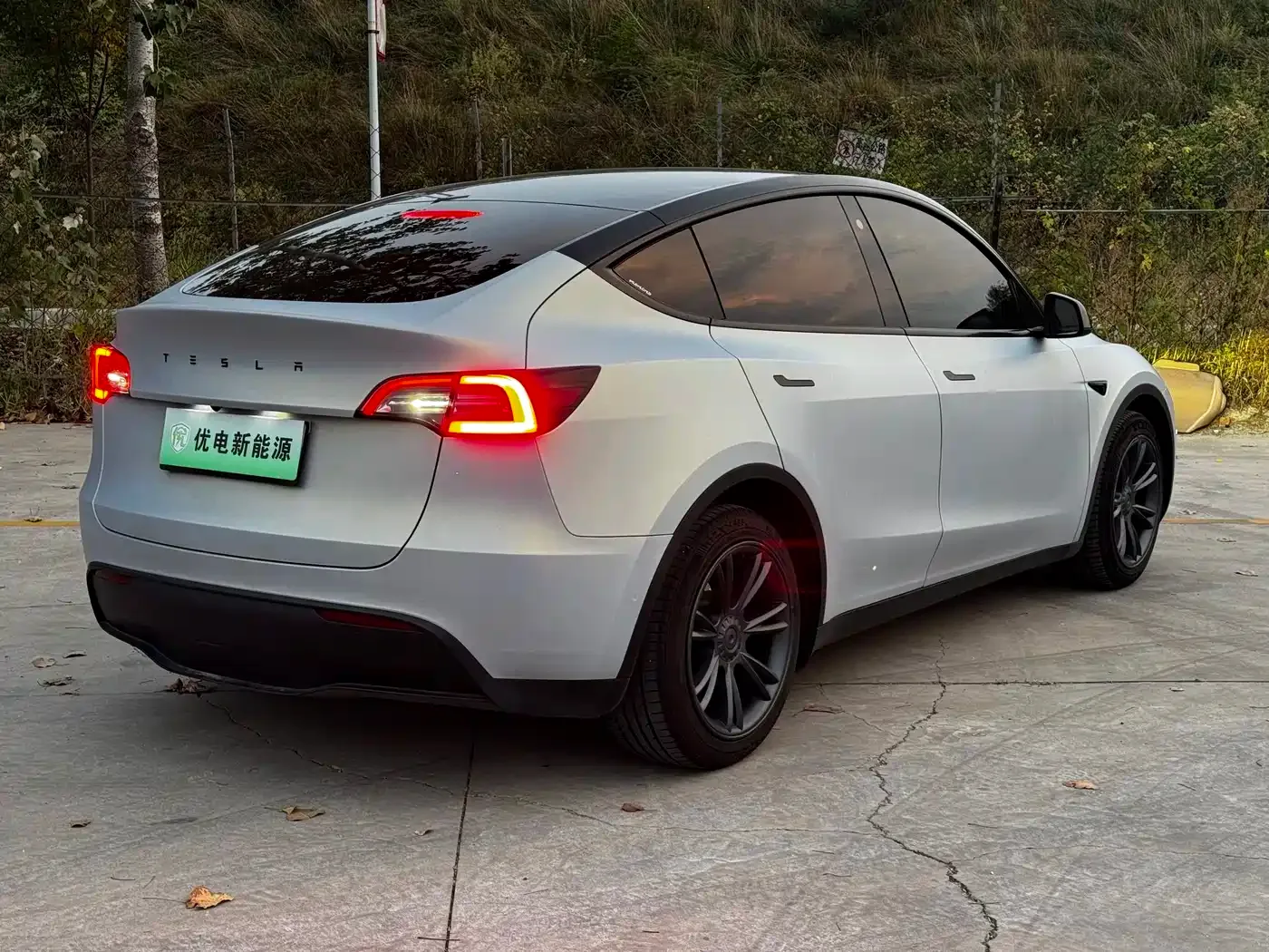 Tesla Model Y 2023 Long Range All-Wheel Drive Edition — Фото автомобиля 3