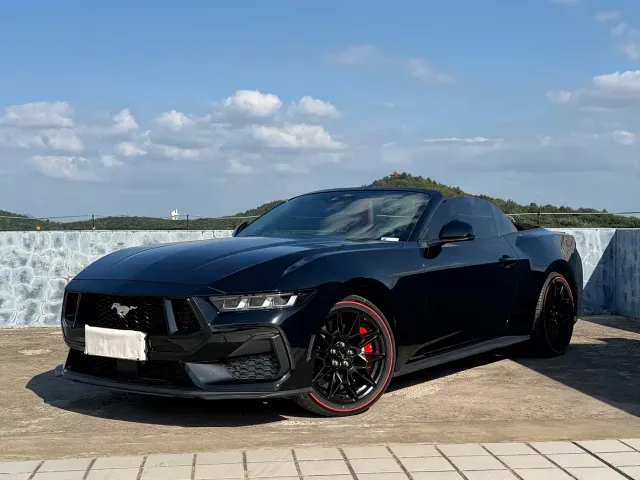 Ford Mustang — Фото автомобиля 6