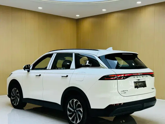 Chery Fulwin T9 — Фото автомобиля 14