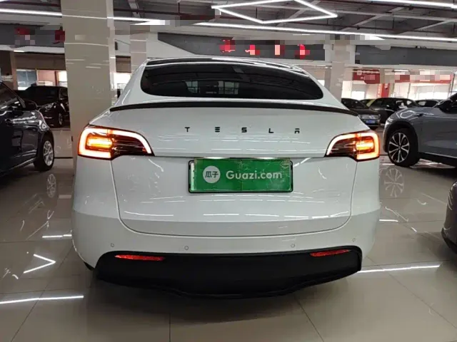 Tesla Model Y — Фото автомобиля 5