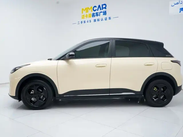 Geely Starry Wish — Фото автомобиля 9