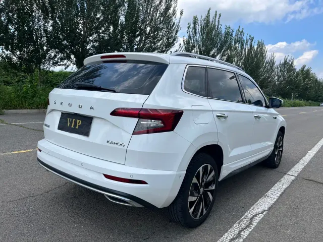 Skoda Karoq — Фото автомобиля 7