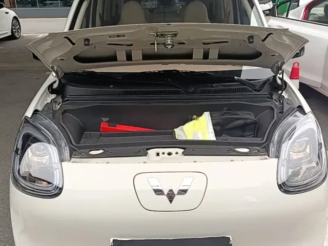 Wuling Hongguang Mini EV — Фото автомобиля 19