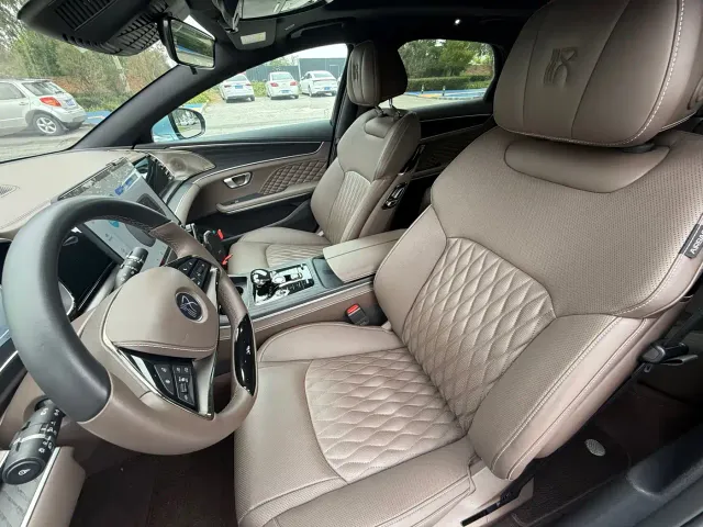 BYD Han — Фото автомобиля 11