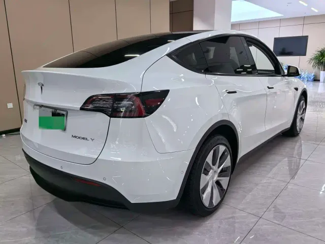 Tesla Model Y — Фото автомобиля 3