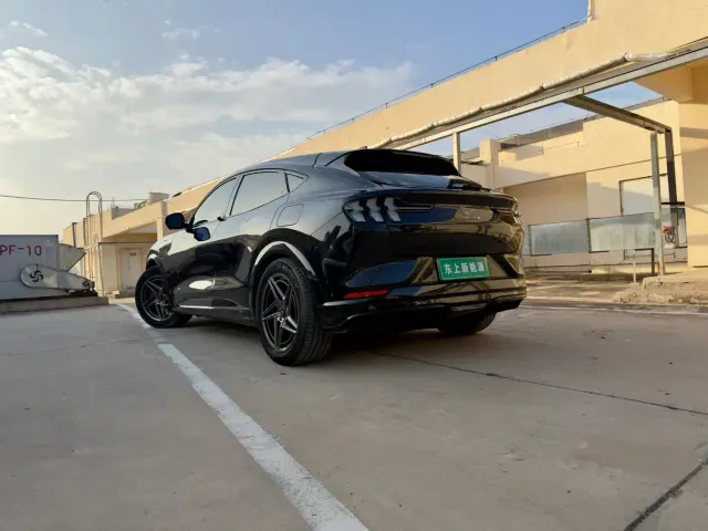 Ford Mustang Mach-E — Фото автомобиля 9
