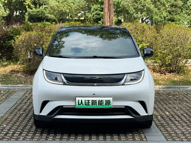 BYD Dolphin — Фото автомобиля 2