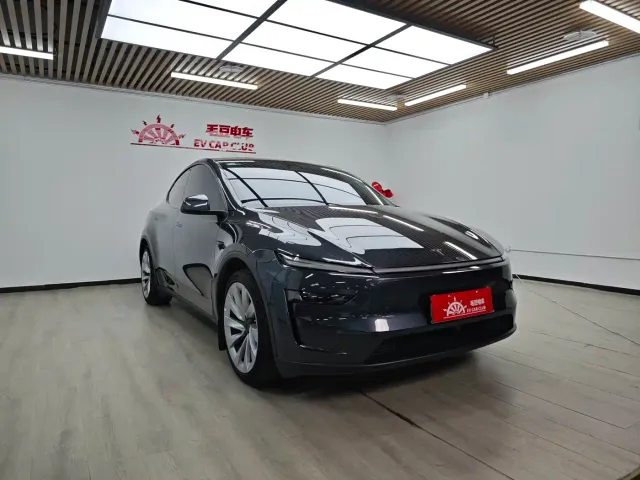 Tesla Model Y — Фото автомобиля 2
