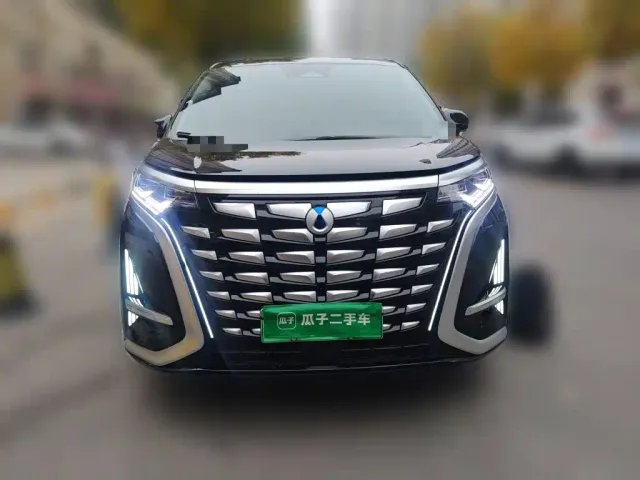 Denza D9 — Фото автомобиля 2