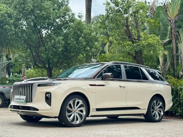 Фотография автомобиля — Hongqi E-HS9