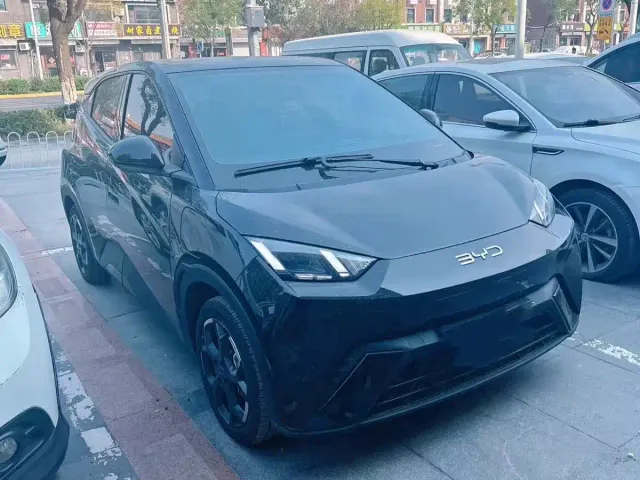 Фотография автомобиля — BYD Seagull