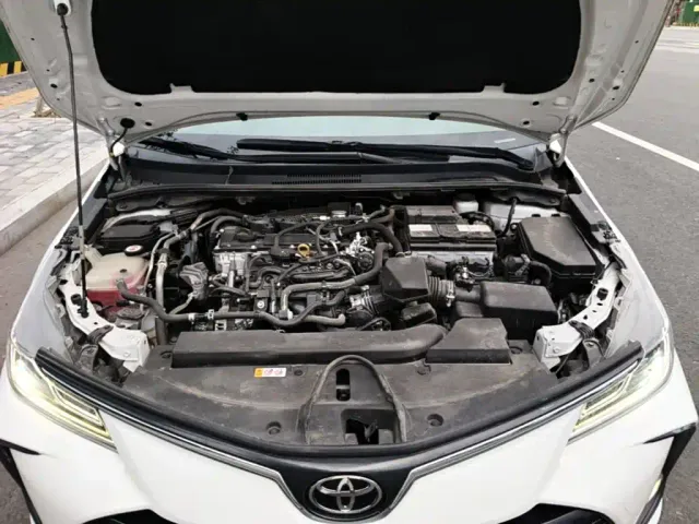 Toyota Corolla — Фото автомобиля 19
