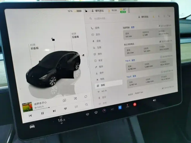 Tesla Model Y — Фото автомобиля 11