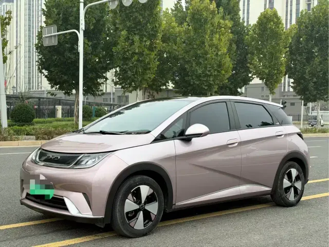 Фотография автомобиля — BYD Dolphin